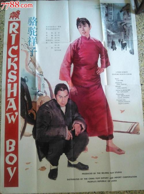 做假的荷兰驾驶/执照